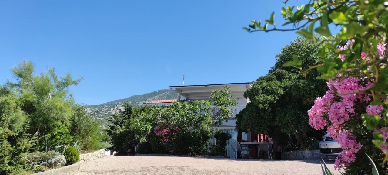 Resort Haus Toma سيساريكا المظهر الخارجي الصورة