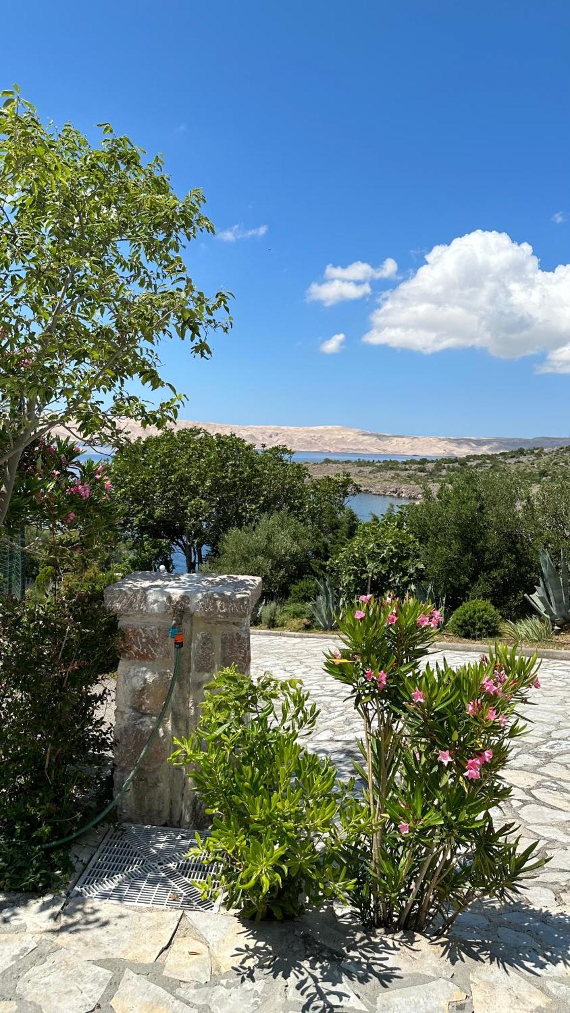 Resort Haus Toma سيساريكا المظهر الخارجي الصورة