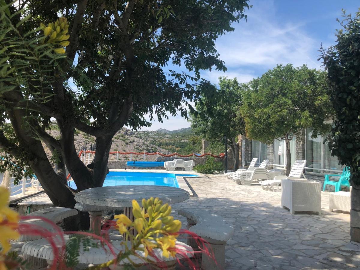 Resort Haus Toma سيساريكا المظهر الخارجي الصورة