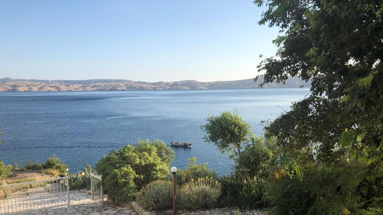 Resort Haus Toma سيساريكا المظهر الخارجي الصورة