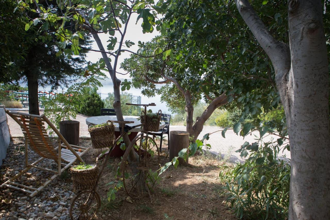 Resort Haus Toma سيساريكا المظهر الخارجي الصورة
