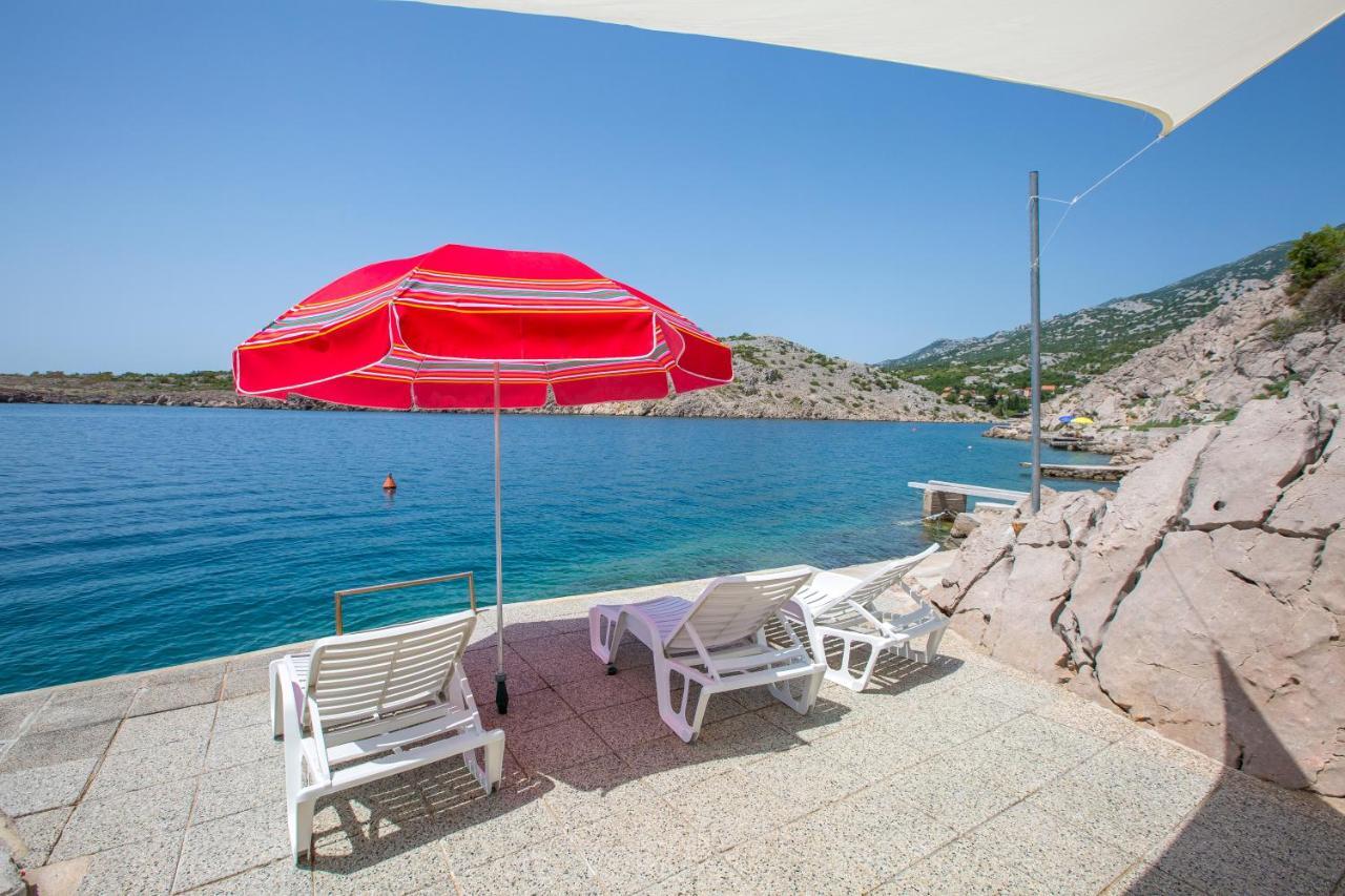 Resort Haus Toma سيساريكا المظهر الخارجي الصورة