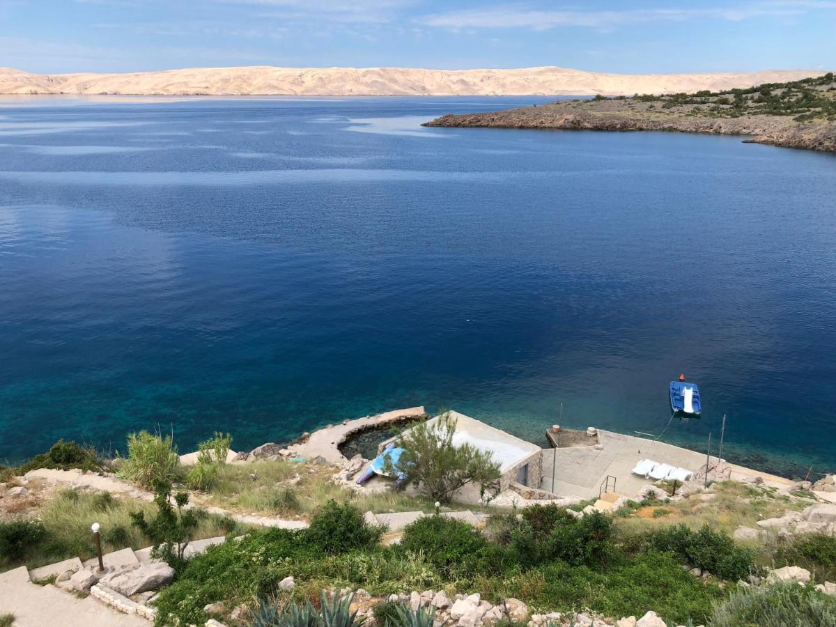 Resort Haus Toma سيساريكا المظهر الخارجي الصورة